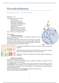 Neurodevelopment - Complete Summary