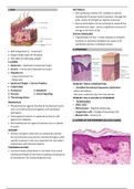 Basic histology- Integumentary, Blood and hemopoesis chapter 