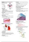 Basic histology-  Blood and hemopoesis chapter 