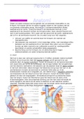 Anatomie: leerjaar 1 periode 3 Het hart