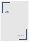 BRS3 Summary I IBS I Year 1