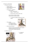artrologie voet 