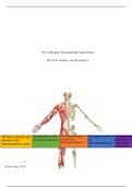 Endocrine System Poster.docx    Wk 3 Individual: Musculoskeletal System Poster  HCS/214: Anatomy And Physiology Ii  The Basic structure and function of the Musculoskeletal system  The Importance of the Musculoskeletalsystem  Two common diseases that affec