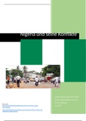 Hausarbeit/ Ausarbeitung zu Nigerias Konflikten 