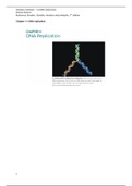 Genetics Brooker summary chapter 11 - DNA replication