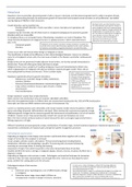 Summary  human pathology (NWI-BB025B)