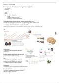 Notes colleges Psychopharmacology and Psychopathology 