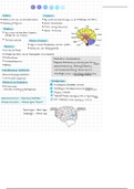 Notizen Gehirn/Schlaf/Lernen