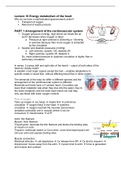 Lecture 10 Energy Metabolism of the heart 