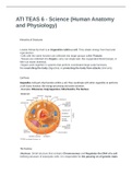 ATI TEAS 6 - Science (Human Anatomy and Physiology). Study Guide.