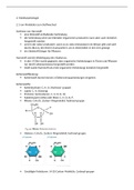Notizen zum IB Oxford Biology Kapitel 2. Molekularbiologie (deutsch)