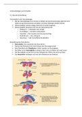 Notizen zum IB Oxford Biology Kapitel A. Neurobiologie und Verhalten (deutsch)