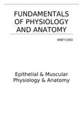 Fundamentals of Physiology and Anatomy of Homeostasis, Epithelial Cells and Muscle 