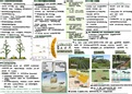 Zusammenfassung Landwirtschaft Geographie/Erdkunde LK