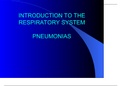 Respiratory System-Pneumonia