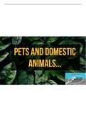 Pets & Domestic Animals Question and Answer PDF - Fun Learning