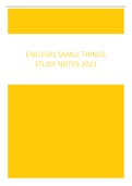 ENG1501 Small Things Novel Notes 2021