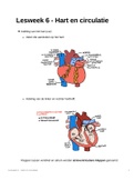 Samenvatting Anatomie en Fysiologie Hart en circulatie OWE 1