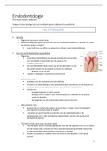 Samenvatting endodontologie 3e bach tandheelkunde KUL