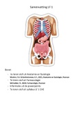 Samenvatting Anatomie en fysiologie, Lichamelijk Functioneren 1, CHE