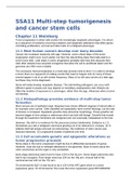 SSA11 Multistep tumorigenesis and cancer stem cells