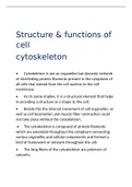 Cell cytoskeleton