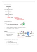 Biochemie Vorlesung 2: Protein: Proteinabbau und Entwicklung : Wachstum und Differenzierung