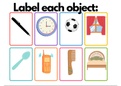 Fun Flashcards: Label these Pictures (P2) | Print POSTER & Learn More Vocab