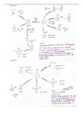 Benzene and Phenol Summary A Level 9701