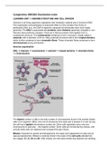 Summary  Cytogenetics GNE2603 