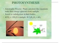 Photosynthesis Science Presentation