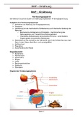 Verdauungssystem & Ernährung - Biologie, Anatomie, Physiologie