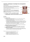 Samenvatting anatomie & fysiologie het urinewegstelsel