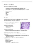 Hoofdstuk bloed, bot, kraakbeen (Prof Vral: cellen en weefsels 2022)