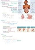 Tractus digestivus jaar 1 (anatomie en fysiologie)