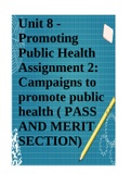 Unit 8 - Promoting Public Health Assignment 2: Campaigns to promote public health ( PASS AND MERIT SECTION)