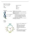 LSC jaar 1 Moleculaire Biologie