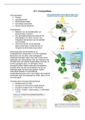 Samenvatting van het gedeelte "Plantenbiologie" voor het vak "Functionele biologie" voor deeltentamen 2