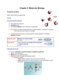 IB Biology SL - Unit 2: Molecular biology (straight 7)