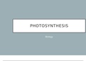 Photosynthesis PowerPoint Presentation (high school level)