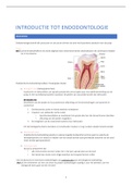 Endodontologie - samenvatting  