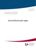 Samenvatting praktijk Bovenste Extremiteit en Cervicothoracale Regio