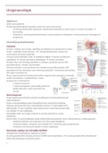 Samenvatting Urogynaecologie  van Pathofysiologie IV (J000499A)