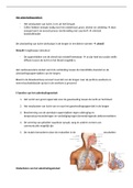 Samenvatting Het ademhalingsstelsel leerjaar 1 Verpleegkunde HBO Biomedisch