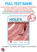 Test Banks For Hole's Human Anatomy & Physiology 15th Edition by David Shier; Jackie Butler; Ricki Lewis, 9781260092820, Chapter 1-24 Complete Guide
