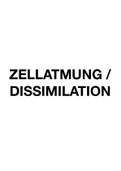 Zellatmung, Dissimilation - Biologie Lernzettel Leistungskurs Abitur 2022 (1,1)