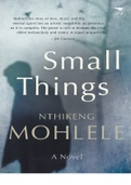 Small Things Novel by Nthikeng Mohlele