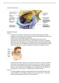 Samenvatting anatomie van het oog, apart practicum in blok 2.5