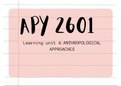 APY 2601 Learning unit 4