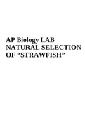 AP Biology LAB NATURAL SELECTION OF “STRAWFISH (2023/2024)